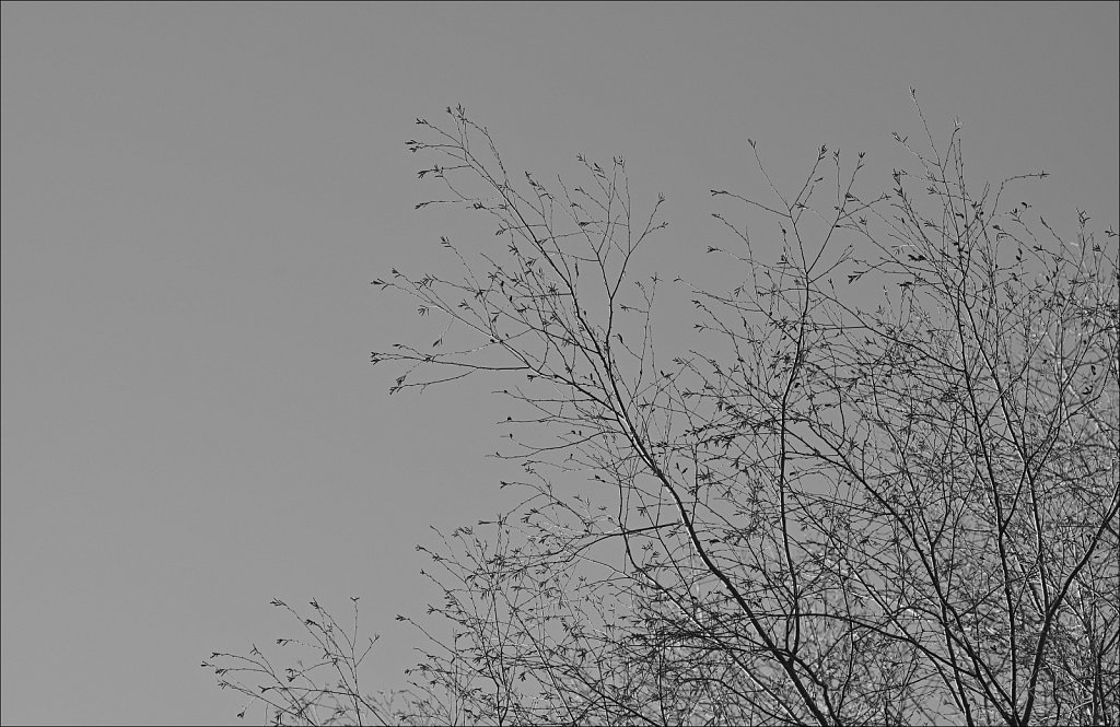 B&W Around The House