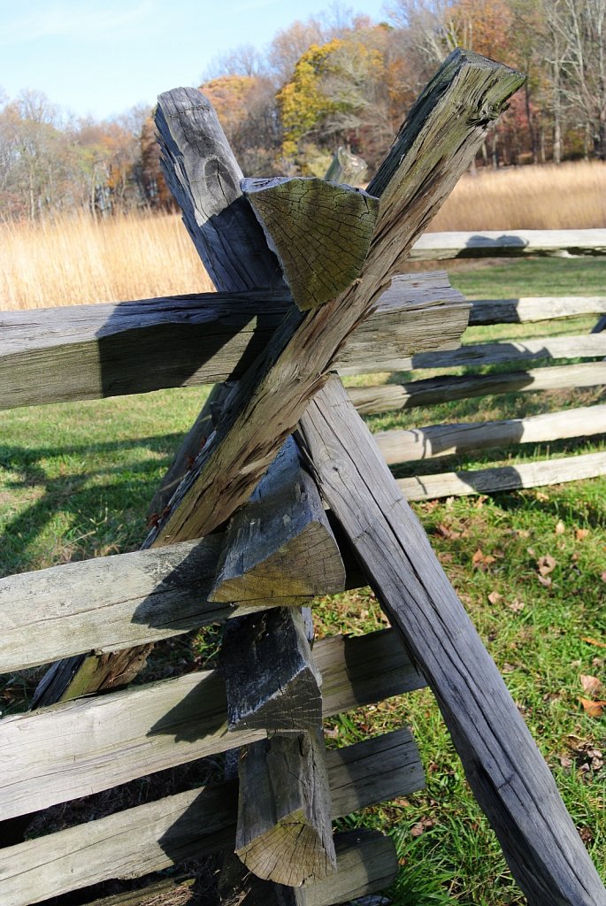 Jockey Hollow