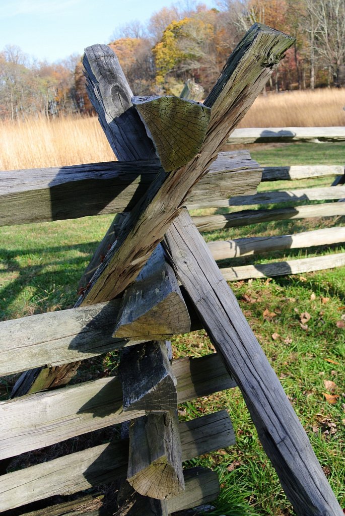 Jockey Hollow