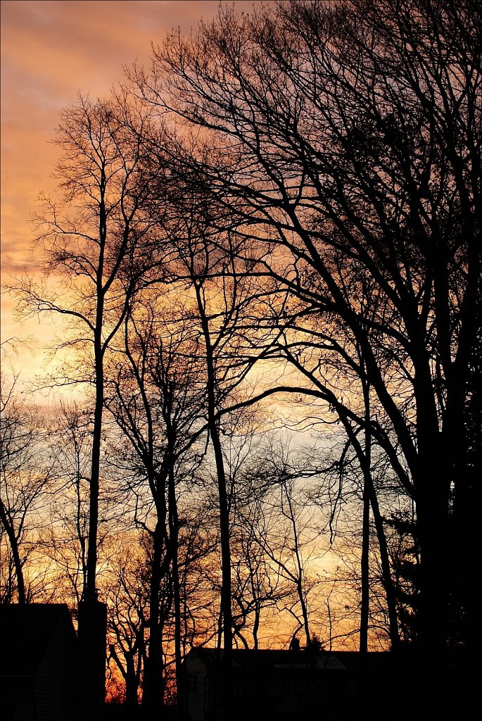 Mount Olive Sunrise