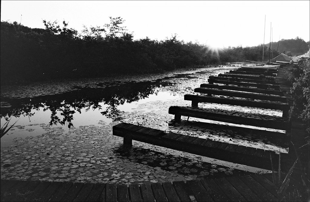 Sunrise On The South Branch