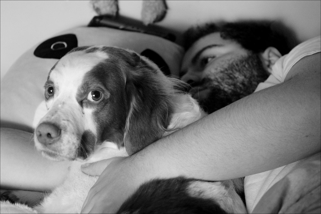 Copper and Austin