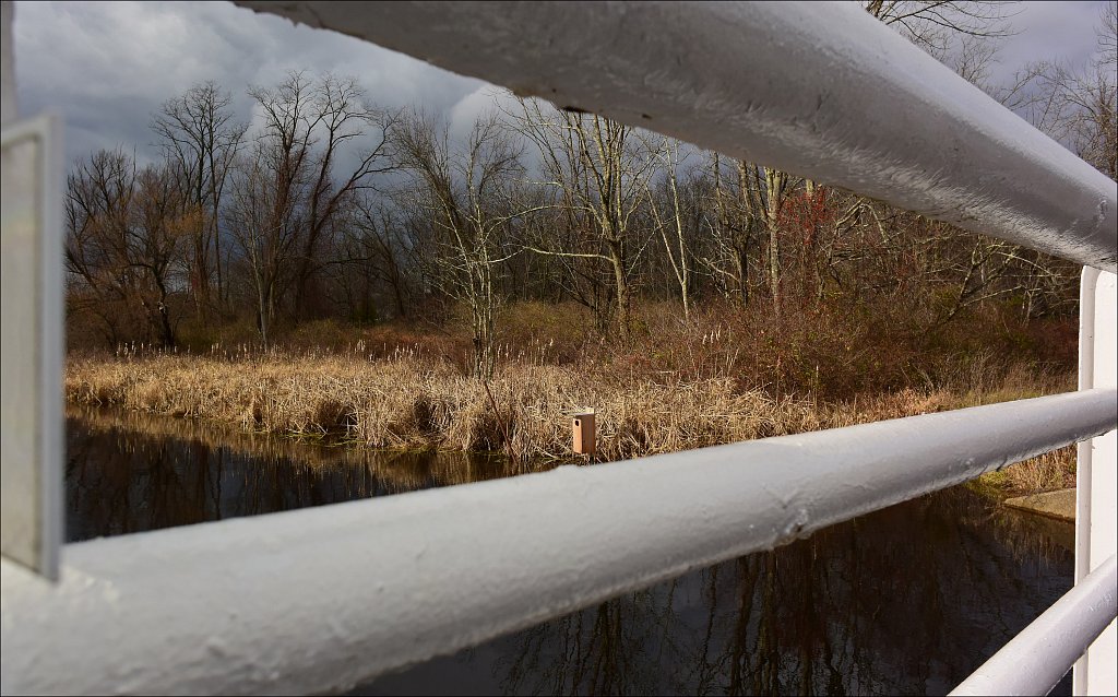 Black River Wildlife Management Area