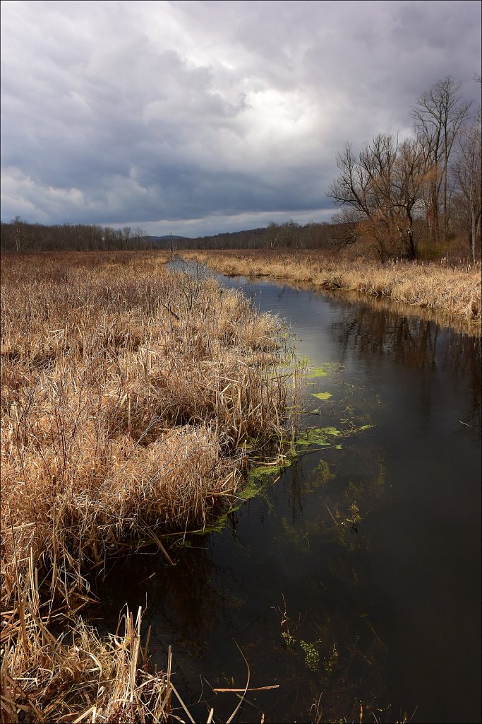 Black River Wildlife Management Area