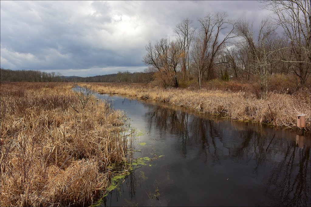 Black River Wildlife Management Area