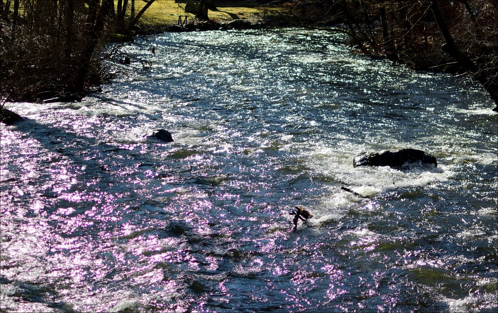 Stephens State Park