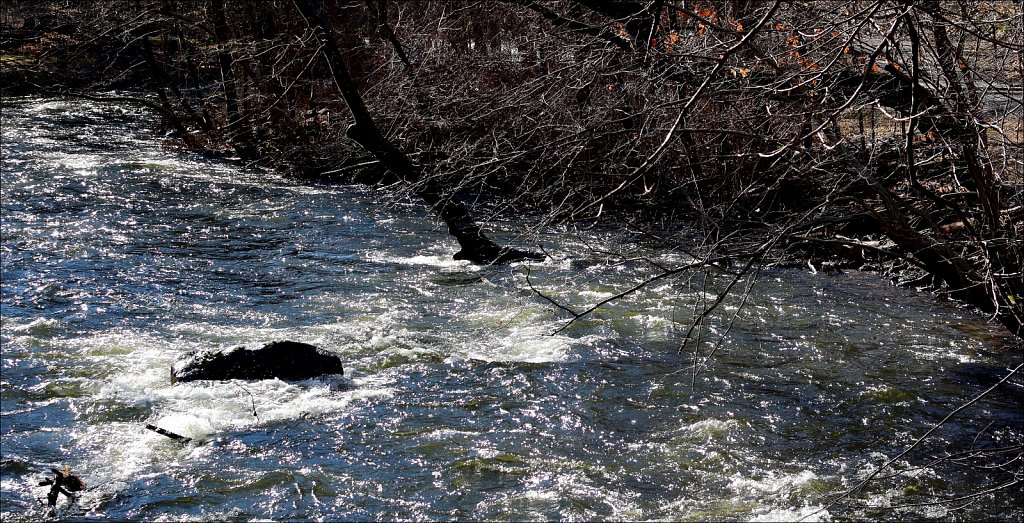 Stephens State Park