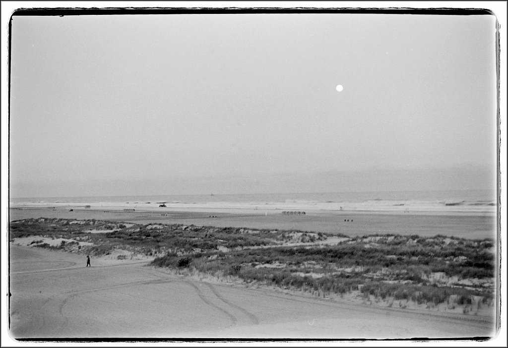 Wildwood Crest