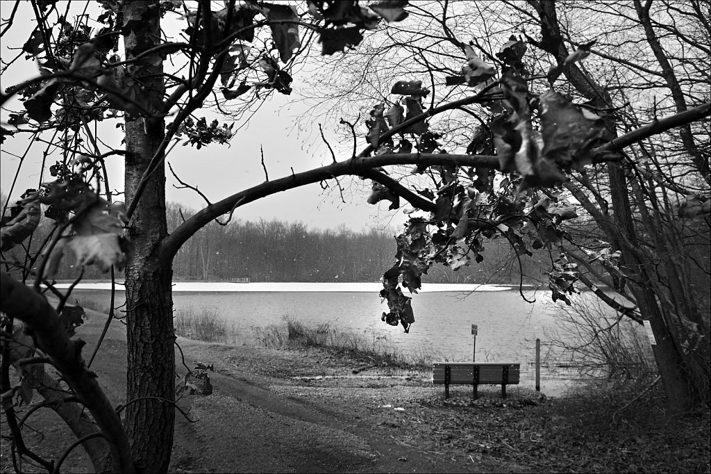 Mountain Farm Pond