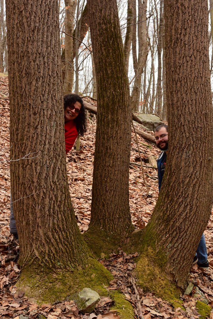 Schooley's Mountain Park