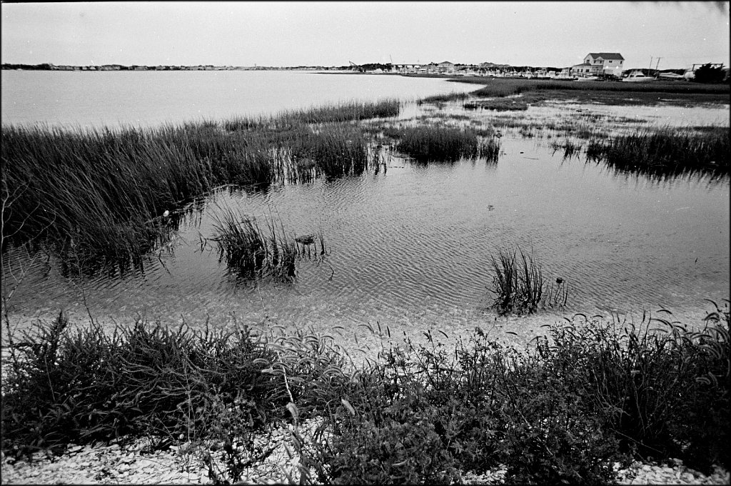 2021001F-Nikon-F2-Roll-B-3a-Kodak-TriX-Sept-2020.jpg