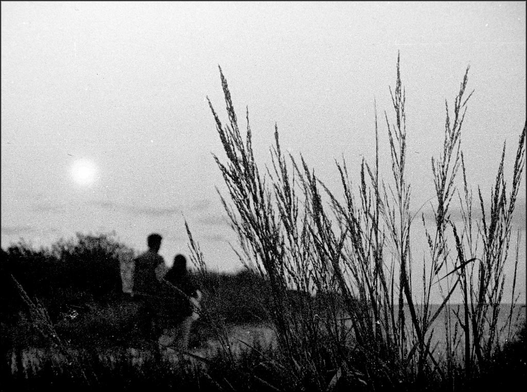 2021001F-Minolta-110-SLR-Roll-A-16-Fukkatsu-100-BW-exp-2013.jpg