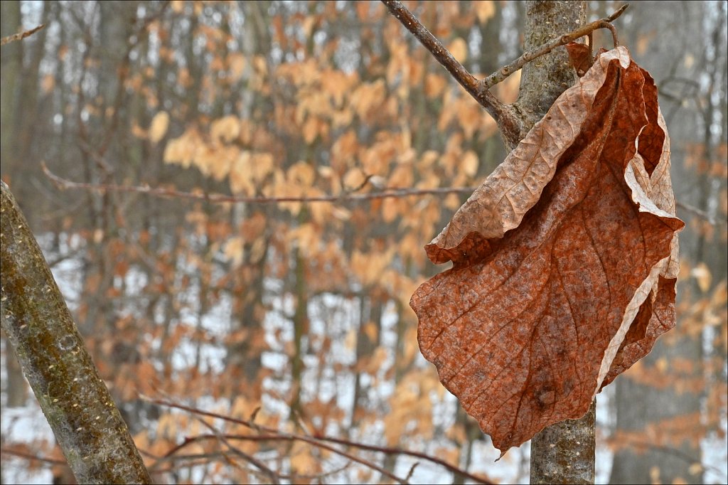 Allamuchy Mountain State Park 