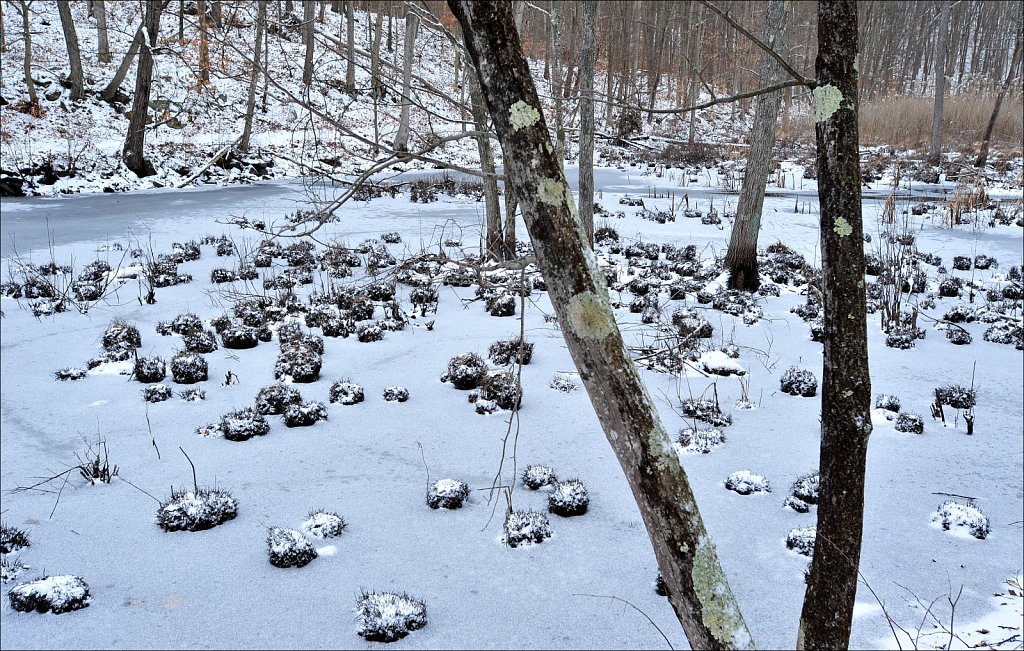 Allamuchy Mountain State Park 