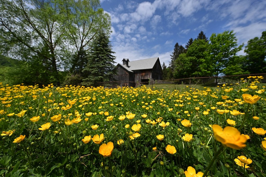 Walton-Barn-RG6-0689-copy.jpg