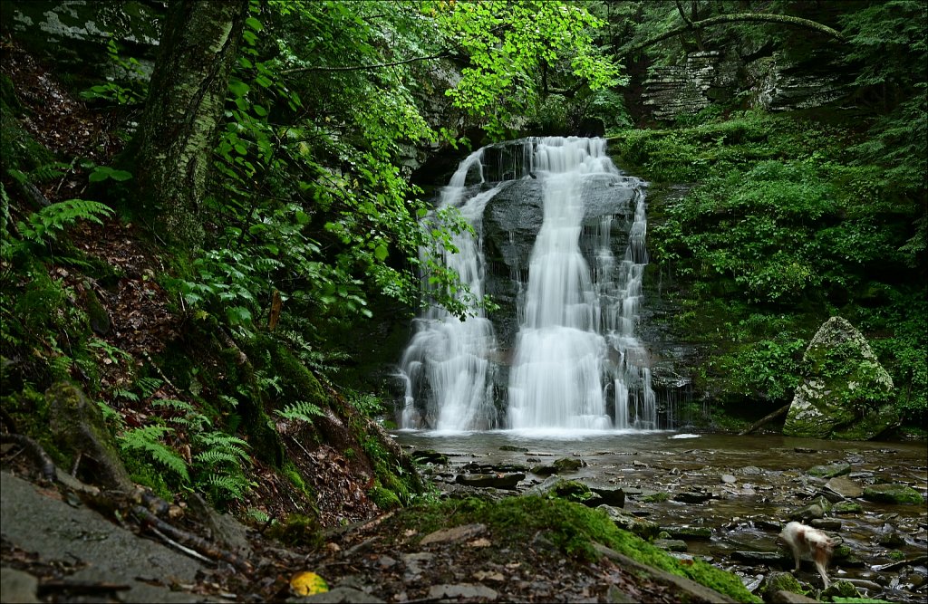 Russell Brook Falls 