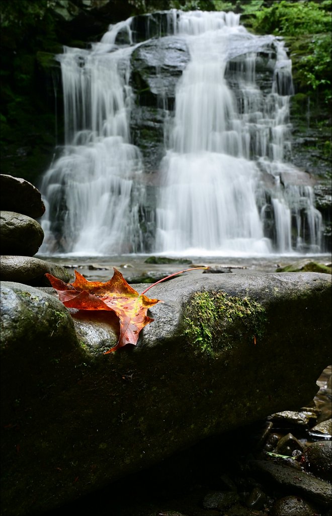 Russell Brook Falls 