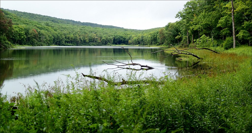 Trail To Trout Pond