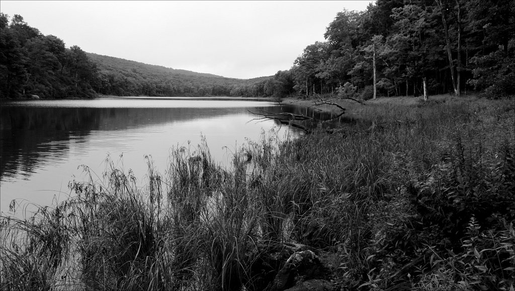 Trail To Trout Pond