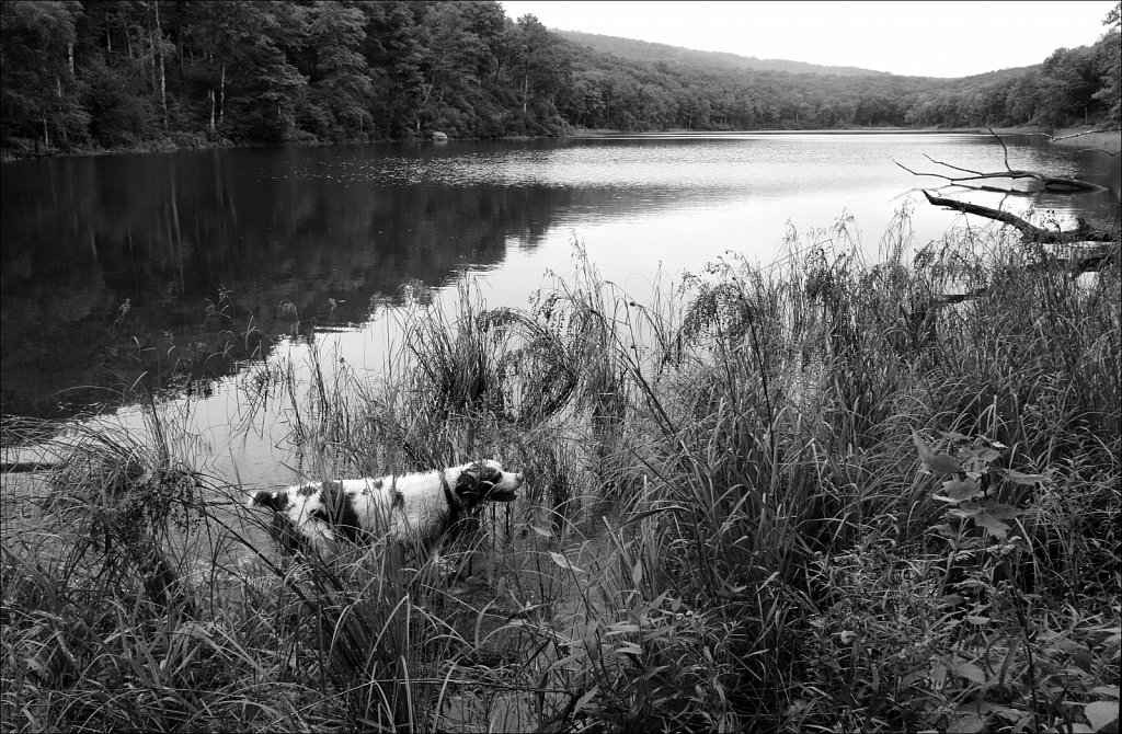 Trail To Trout Pond