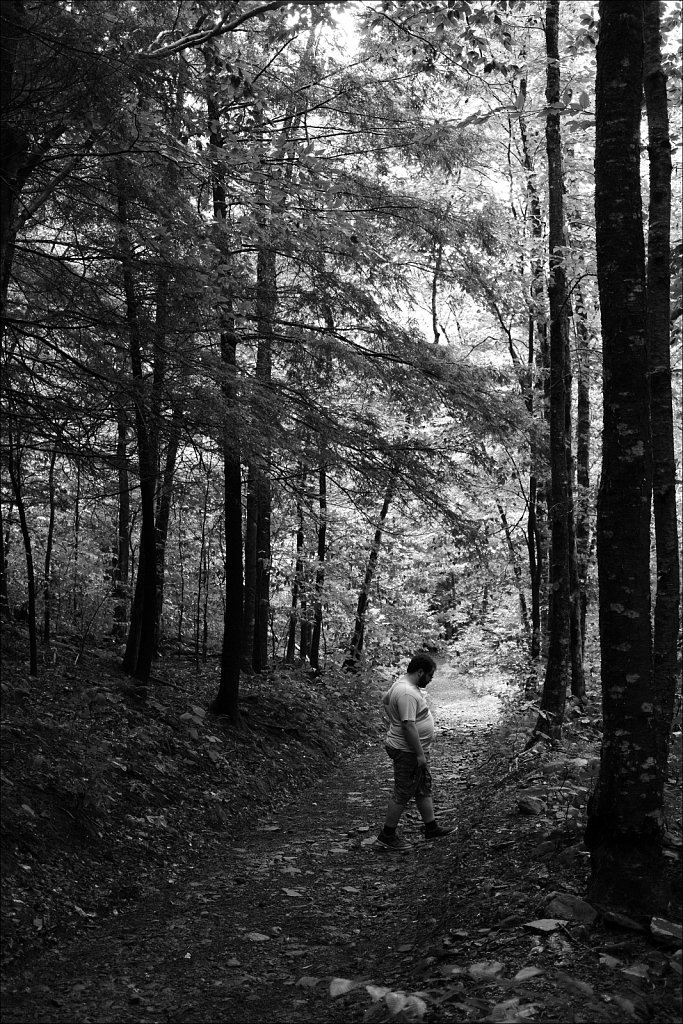Trail To Trout Pond