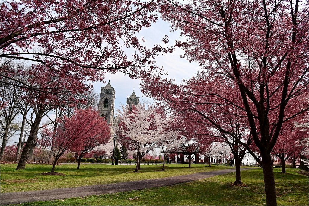 Branch Brook Park