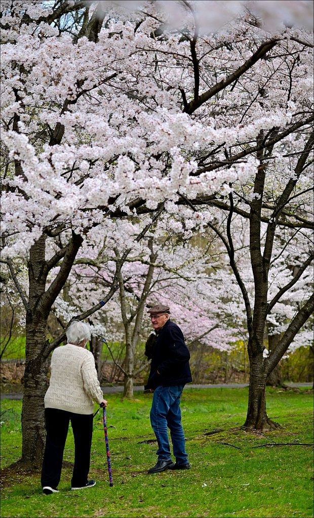 Branch Brook Park