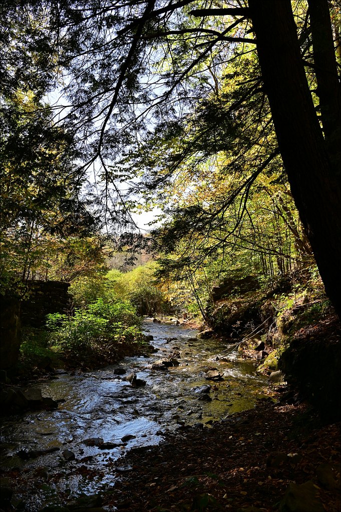 Russell Brook Falls  