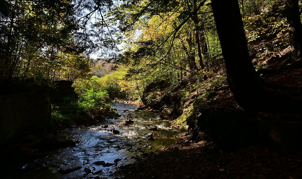 Russell Brook Falls  