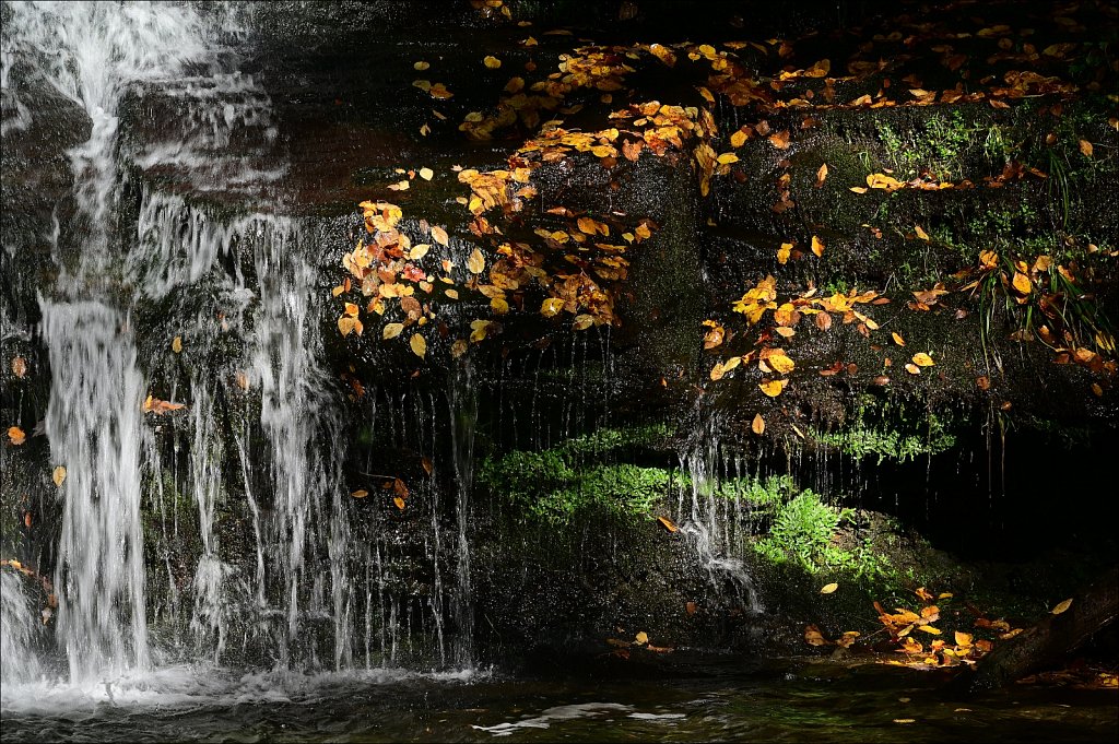 Russell Brook Falls  