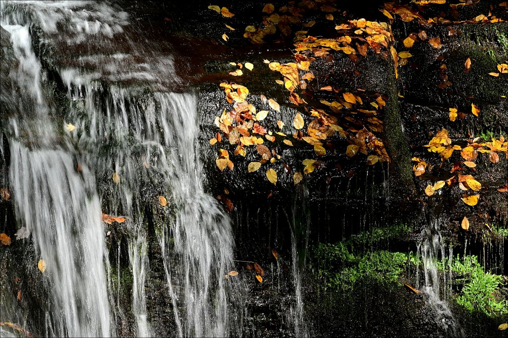 Russell Brook Falls  