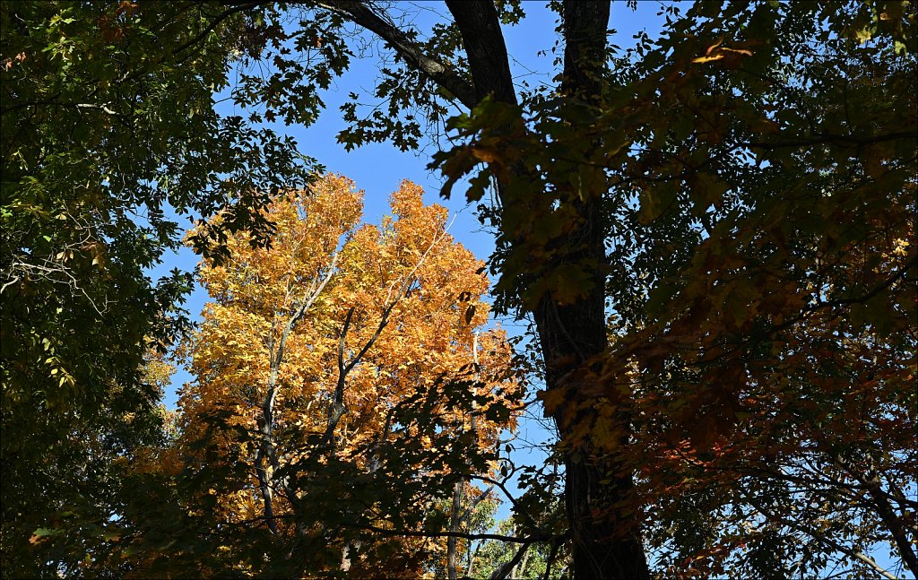 Autumn 2022