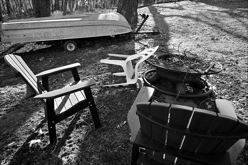 Backyard B/W