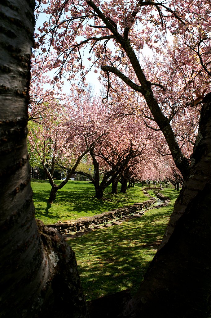 Hurd Park