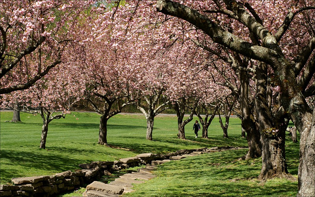 Hurd Park