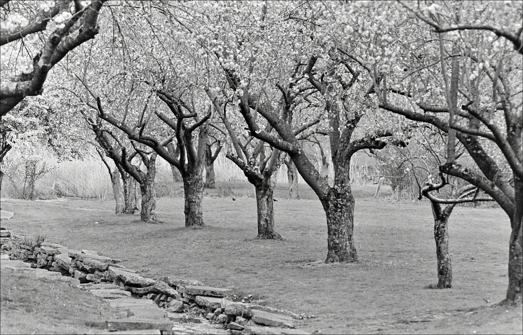Hurd Park