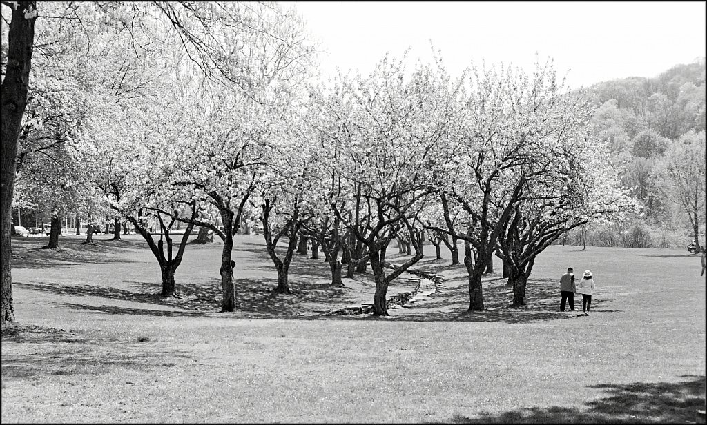 Hurd Park