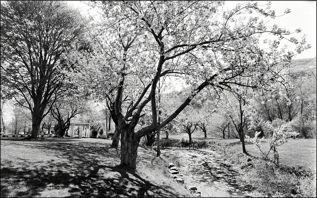 Hurd Park