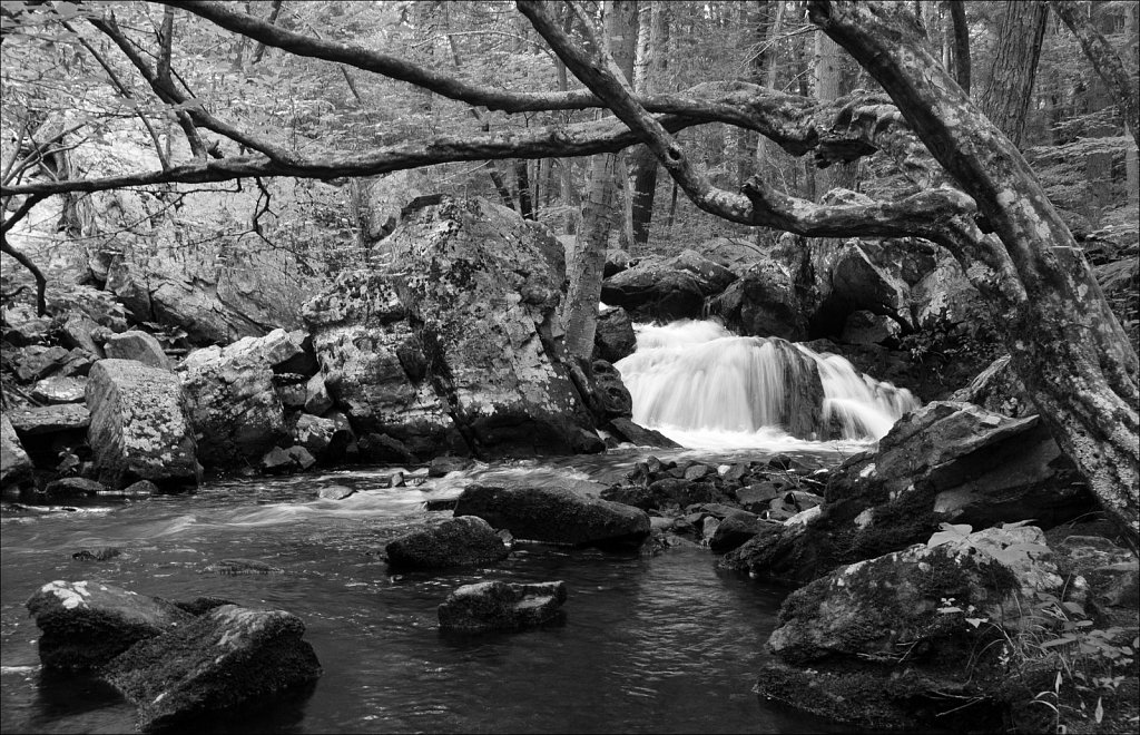 Sussex Branch Trail