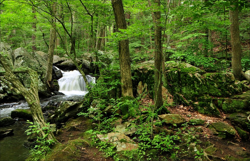 Sussex Branch Trail