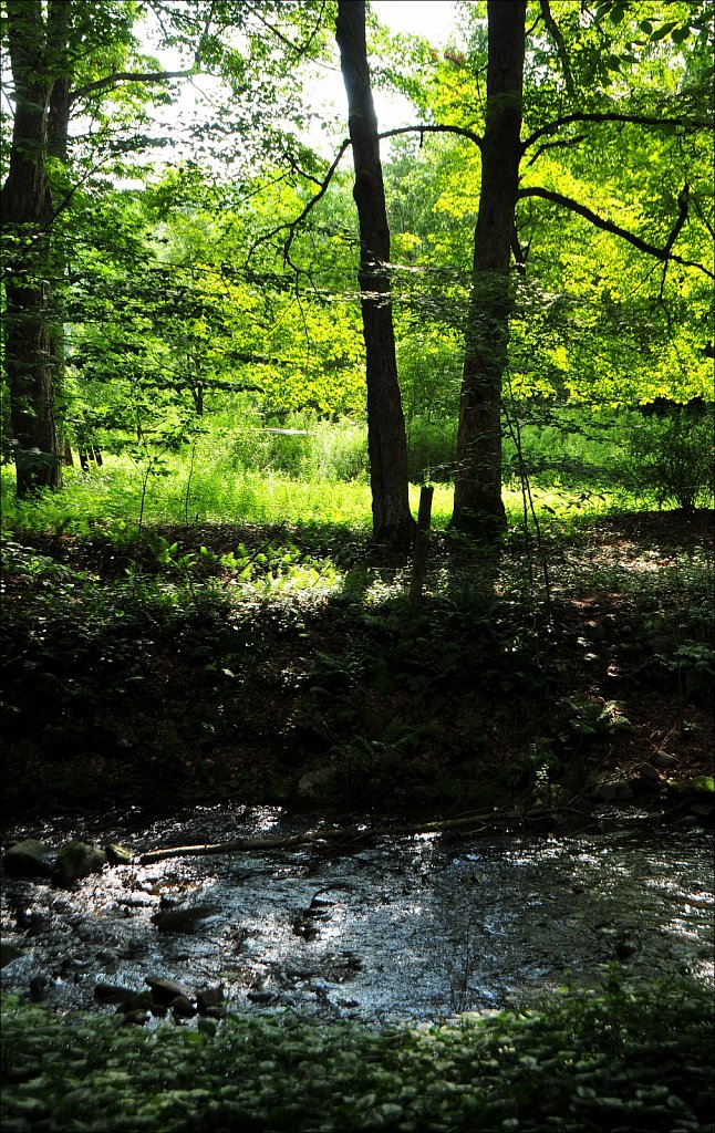 Upstate NY 2023