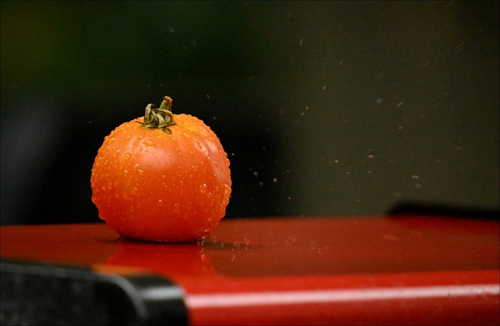 Tomato in the Rain