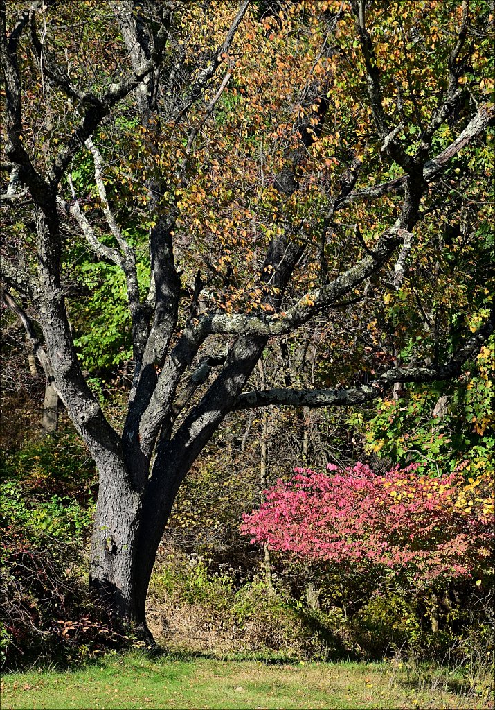 Garret Mountain Reservation