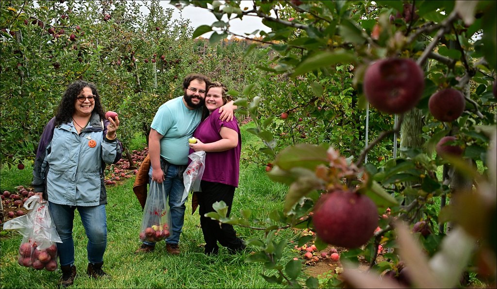 Apple Picking In Califon