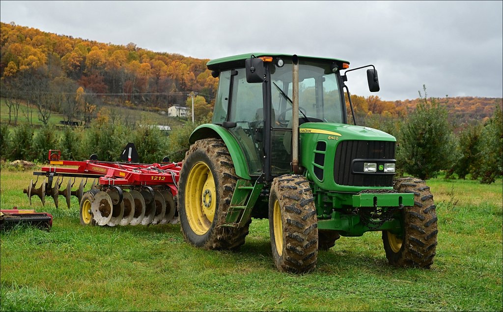 Apple Picking In Califon