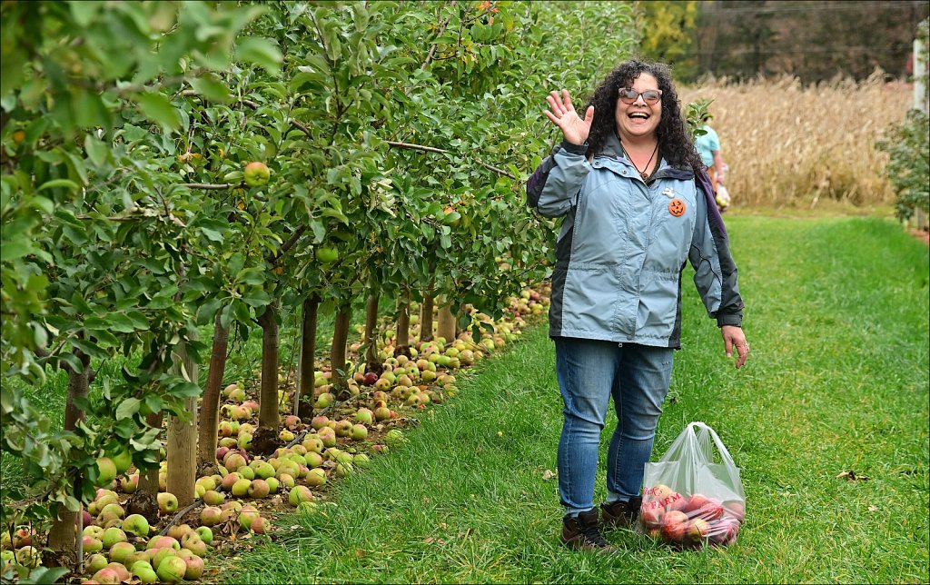 Apple Picking In Califon