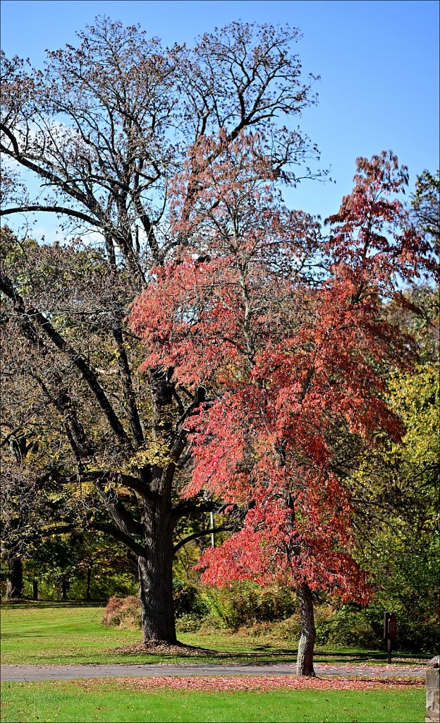 Washington Crossing State Park