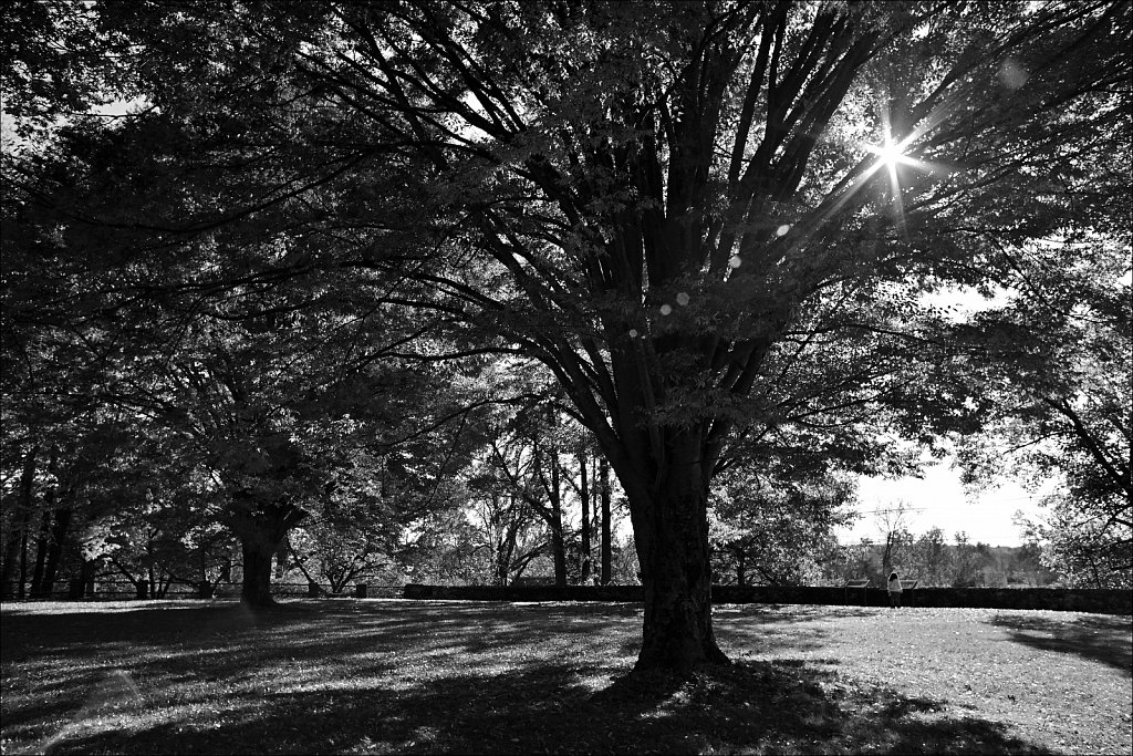 Washington Crossing State Park