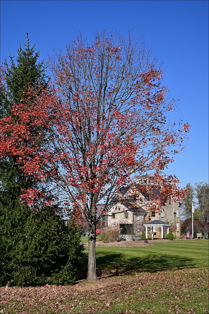 Turkey Brook Park