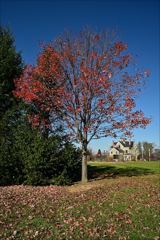 Turkey Brook Park